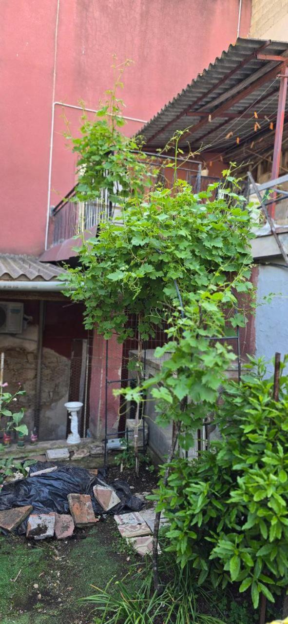 Appartamento In Casa Con Cortili Ad Arbus - Sardegna Exterior photo
